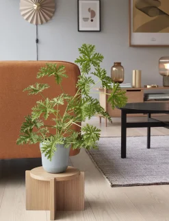 Nomad Plant Stand Natural