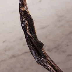 Olympea Deodorant Spray 150 ml