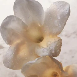 Olympea Deodorant Spray 150 ml