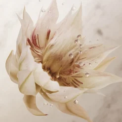 Olympea Deodorant Spray 150 ml