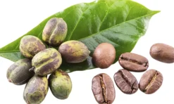 Organic Phytonutrient Caffeine Infusion 100 ml.