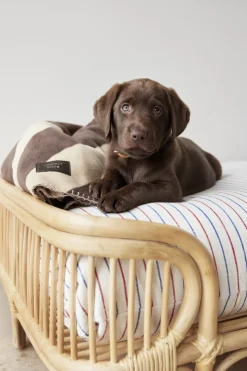 Otte Hundeseng - Lille