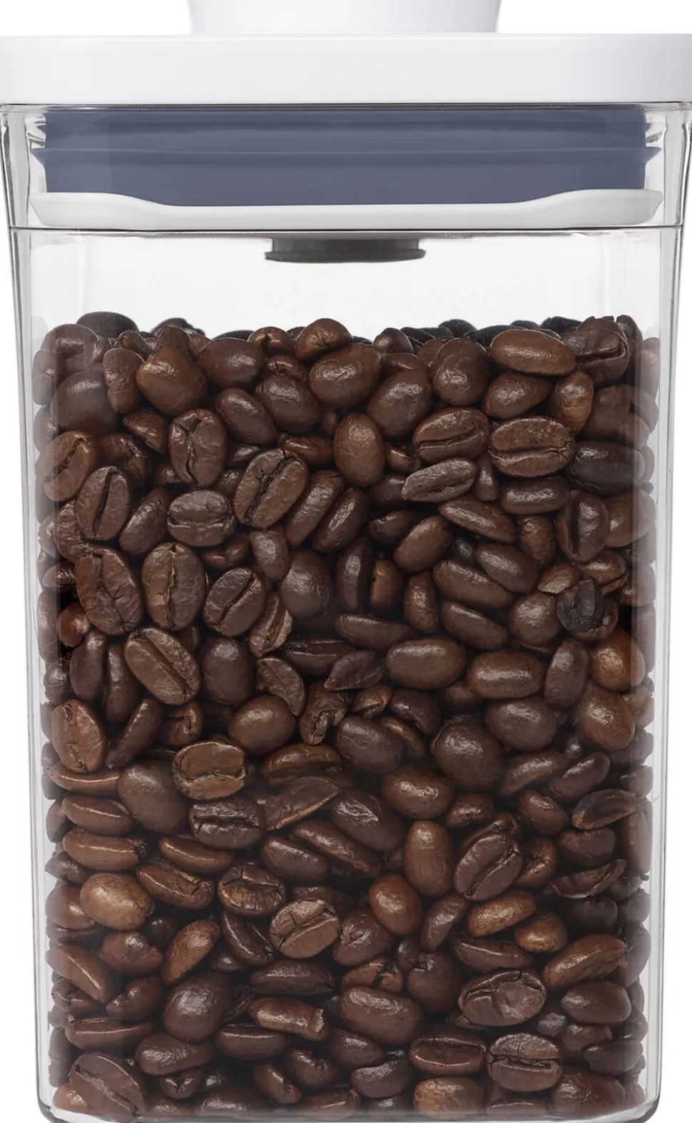 OXO POP container, rektangulær 1,6 l.