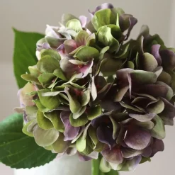 Pale Purple Hydrangea Flower