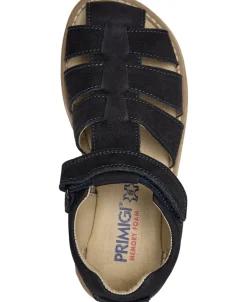 PDH 79205 NABUK CODEX