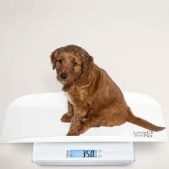 PetCare PP 170 Polly Multifunktionsvægt til kæledyr