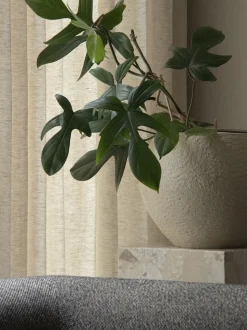 Plantas Planter, H 32, Ivory