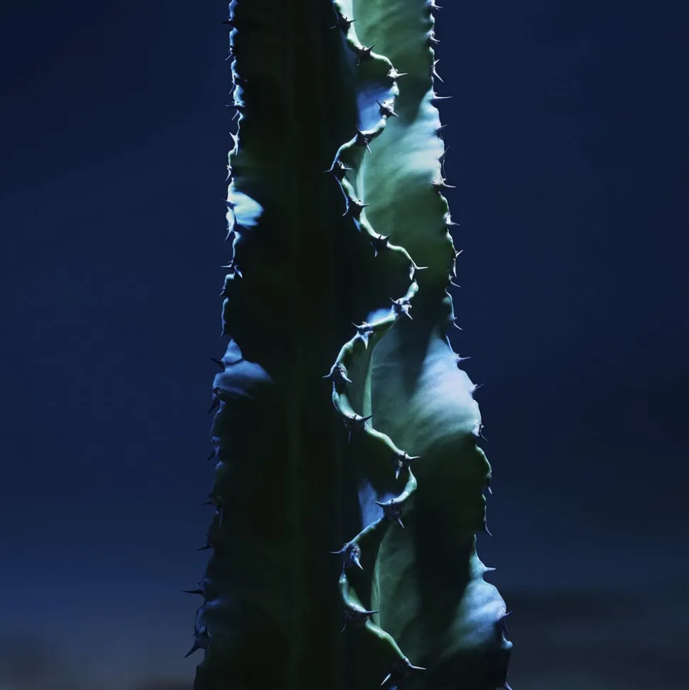 Sauvage The Toner Face Toner Lotion with Cactus Extract