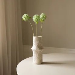 Scabiosa Seed Pod Flower
