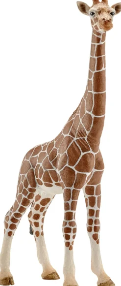 Sch Giraffe Female