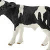 SCH13798 Holstein calf