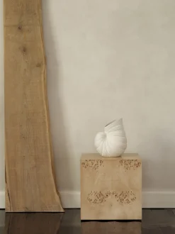 Shell Vase - Off-white