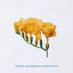 Sikinos Eau De Toilette