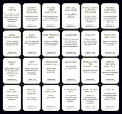 Østerlandsk Julegaveæske, 24 stk minidåser løsvægt te