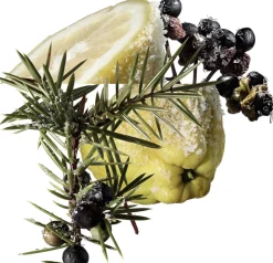 TERRE D'HERMÈS EAU GIVRÈE EAU DE PARFUM