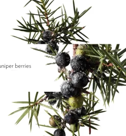 TERRE D'HERMÈS EAU GIVRÈE EAU DE PARFUM