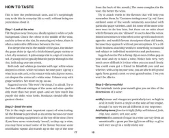 The 24-Hour Wine Expert