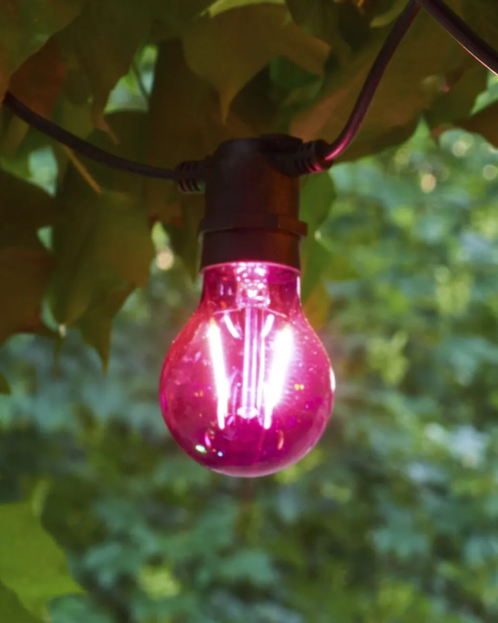 Tobias, Reservepære, Lilla