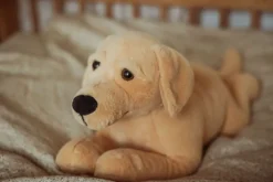 TYNGDEDYR HUND. 2,2 KG