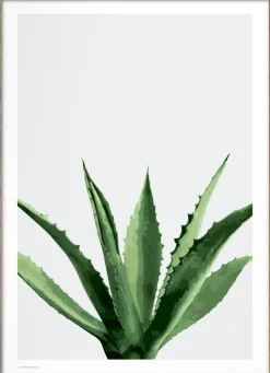 Wonderhagen - Agave plakat