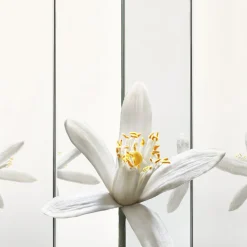 Yves Saint Laurent MYSLF Eau de Parfum